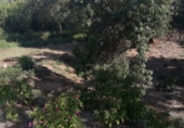 Sòl urbà en venda a la Carrer del Concell de Cent Parcela 347 Niagra Park, Tordera, ref.: TR51586 foto