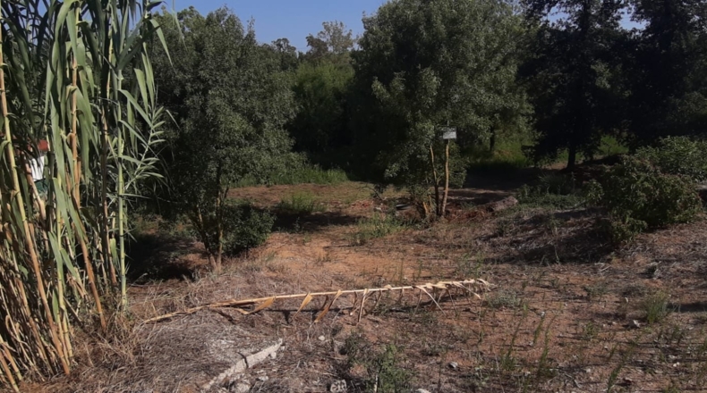 Barcelona - Tordera - 680m2
