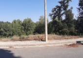 Sòl urbà en venda a la Carrer del Concell de Cent Parcela 347 Niagra Park, Tordera, ref.: TR51586 foto