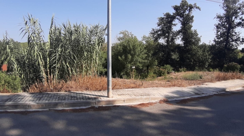 Barcelona - Tordera - 680m2