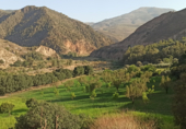 Parcel·la urbanitzable en venda a la El Duque, Órgiva, ref.: TR51929 foto