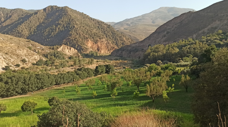 Granada - Órgiva - 4600m2