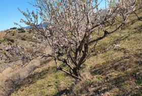 El Frasno 22254&nbsp;m²
