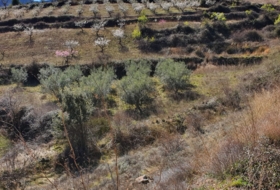 El Frasno 22254&nbsp;m²