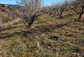 El Frasno 22254&nbsp;m²