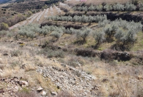 El Frasno 22254&nbsp;m²