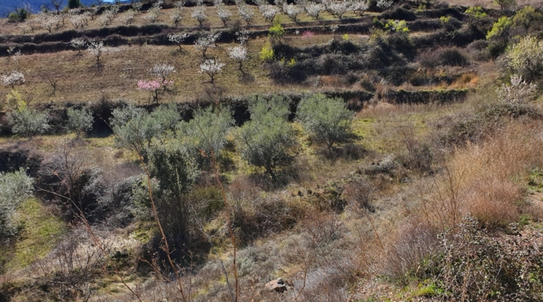 Zaragoza - El Frasno - 22254m2