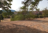Finca rústica en venda a la Carrer El Campet 36, Petrer, ref.: TR52359 foto