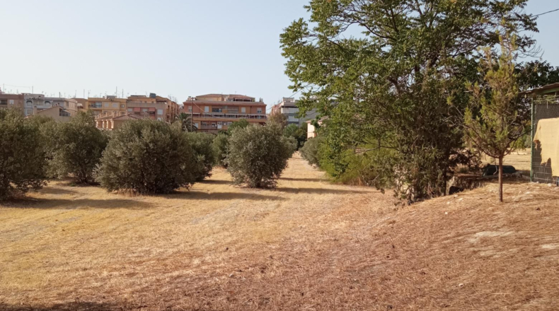 Alicante - Petrer - 36000m2