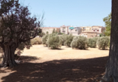 Finca rústica en venda a la Carrer El Campet 36, Petrer, ref.: TR52359 foto