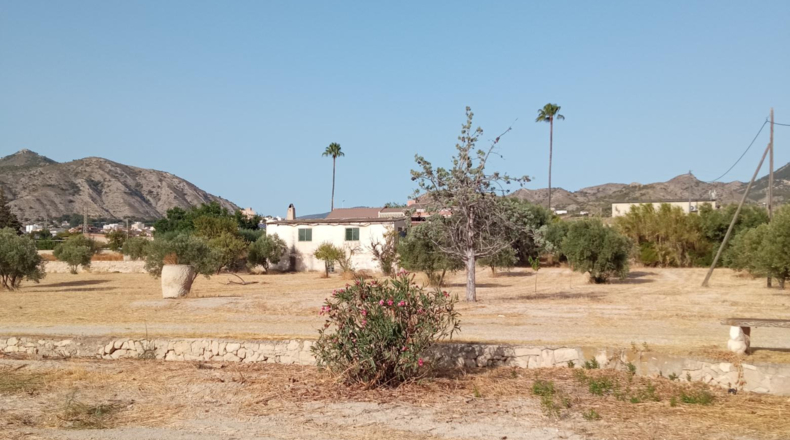Alicante - Petrer - 36000m2