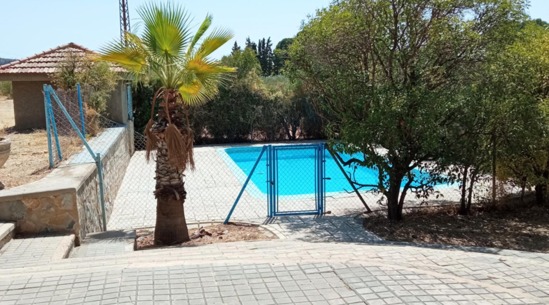 Alicante - Petrer - 36000m2