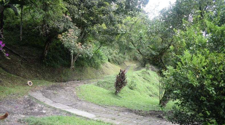 Álava - Ollávarre - 88000m2