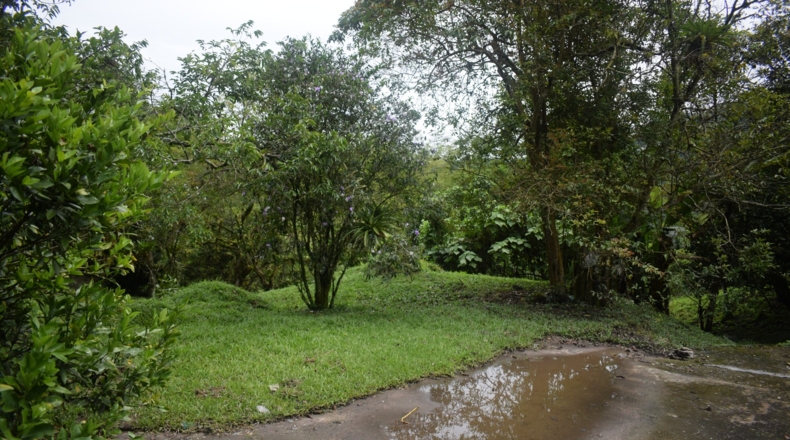 Álava - Ollávarre - 88000m2