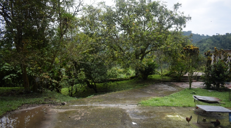 Álava - Ollávarre - 88000m2
