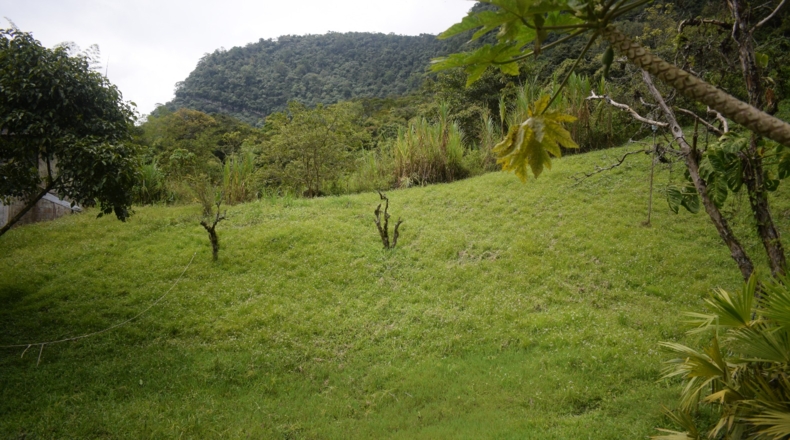 Álava - Ollávarre - 88000m2