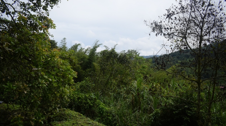 Álava - Ollávarre - 88000m2