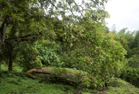 Foto 15