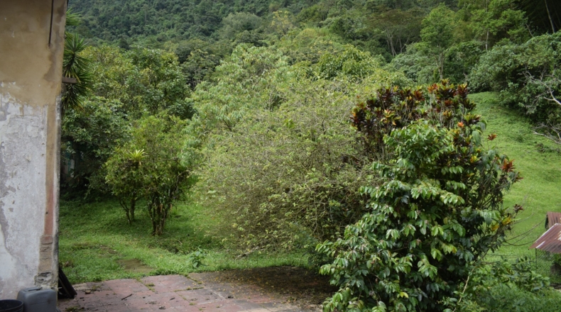 Álava - Ollávarre - 88000m2