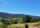 Finca rústica en venda a la Barrio Garaioltza 55, Lezama, ref.: TR53878 foto