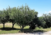 Finca rústica en venda a la Barrio Garaioltza 55, Lezama, ref.: TR53878 foto