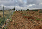 Terreny en venda a la partida de horna baja poligono 28 finca 40, Novelda, ref.: TR53880 foto