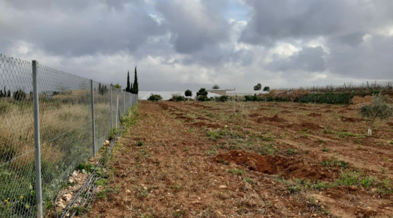 Alicante - Novelda - 4500m2