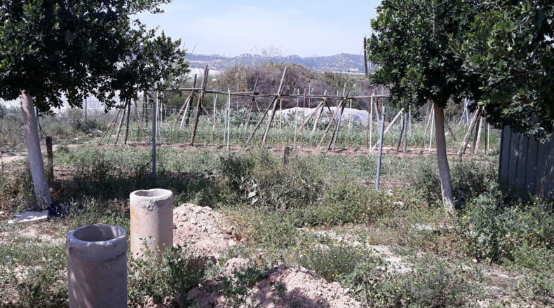 Alicante - Novelda - 4500m2