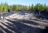 Terreny en venda a la partida de horna baja poligono 28 finca 40, Novelda, ref.: TR53880 foto