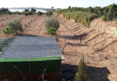 Terreny en venda a la partida de horna baja poligono 28 finca 40, Novelda, ref.: TR53880 foto