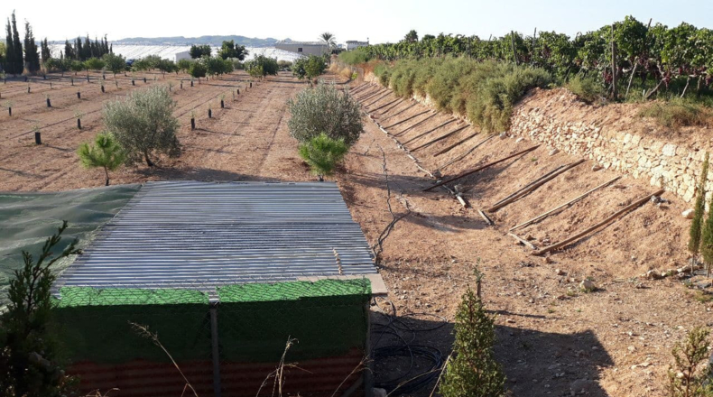 Alicante - Novelda - 4500m2