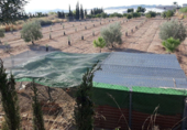 Terreny en venda a la partida de horna baja poligono 28 finca 40, Novelda, ref.: TR53880 foto