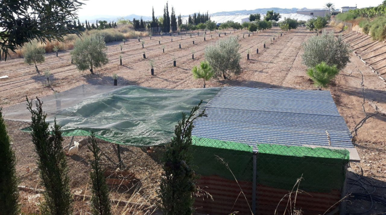 Alicante - Novelda - 4500m2