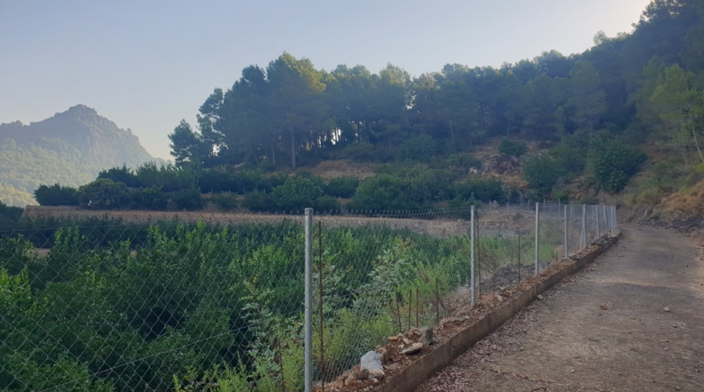 Valencia - Alfahuir - 160000m2