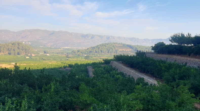 Valencia - Alfahuir - 160000m2