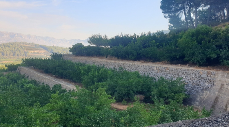 Valencia - Alfahuir - 160000m2