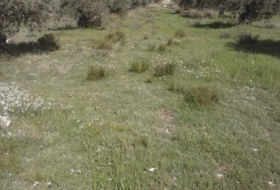 Jumella 500&nbsp;m² 