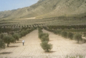 Jumella 500&nbsp;m² 