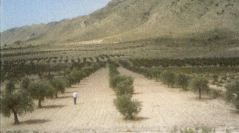 Murcia - Jumilla - 500m2