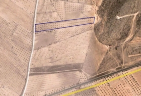 Jumella 500&nbsp;m² 