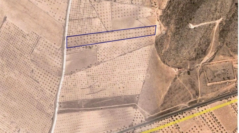 Murcia - Jumilla - 500m2