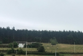 Ferreira Vella 14000&nbsp;m² 