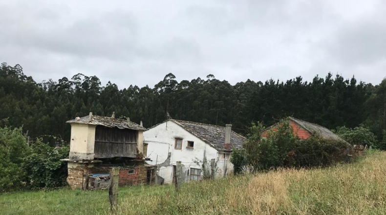 Lugo - Ferreira Vella - 14000m2