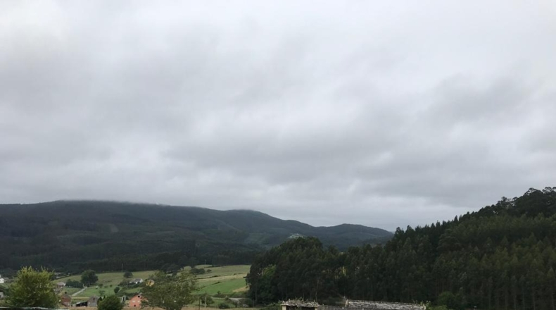 Lugo - Ferreira Vella - 14000m2