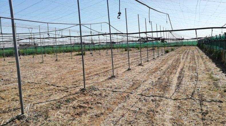 Cádiz - Rota - 7200m2