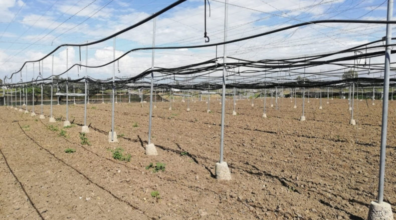 Cádiz - Rota - 7200m2