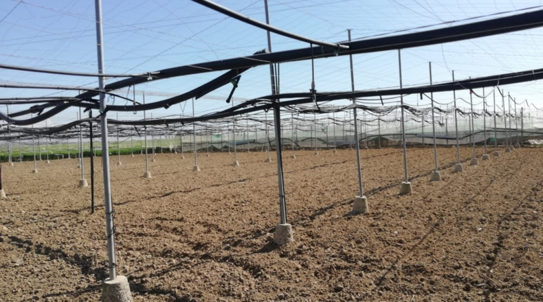 Cádiz - Rota - 7200m2
