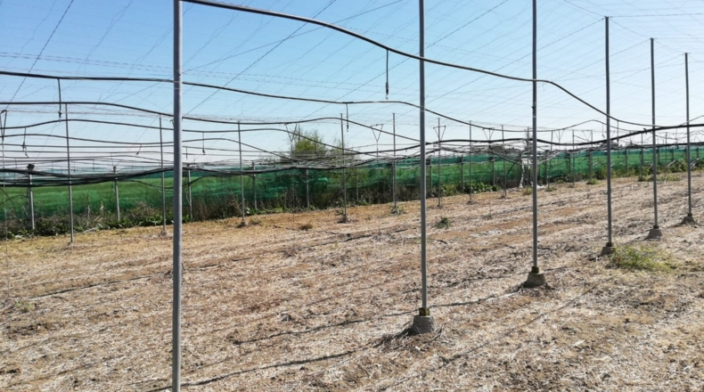 Cádiz - Rota - 7200m2