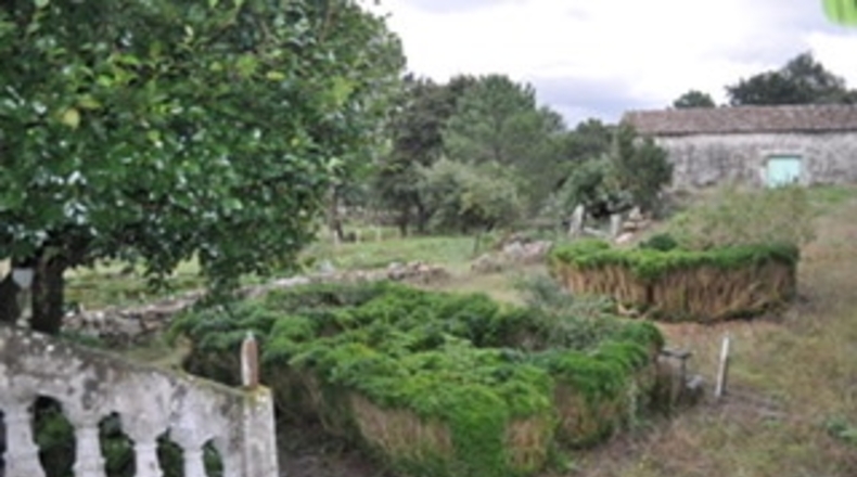 Pontevedra - Vilagarcía de Arousa - 400m2