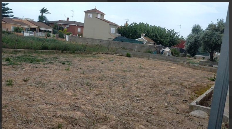 Castellón - Borriana - 803m2